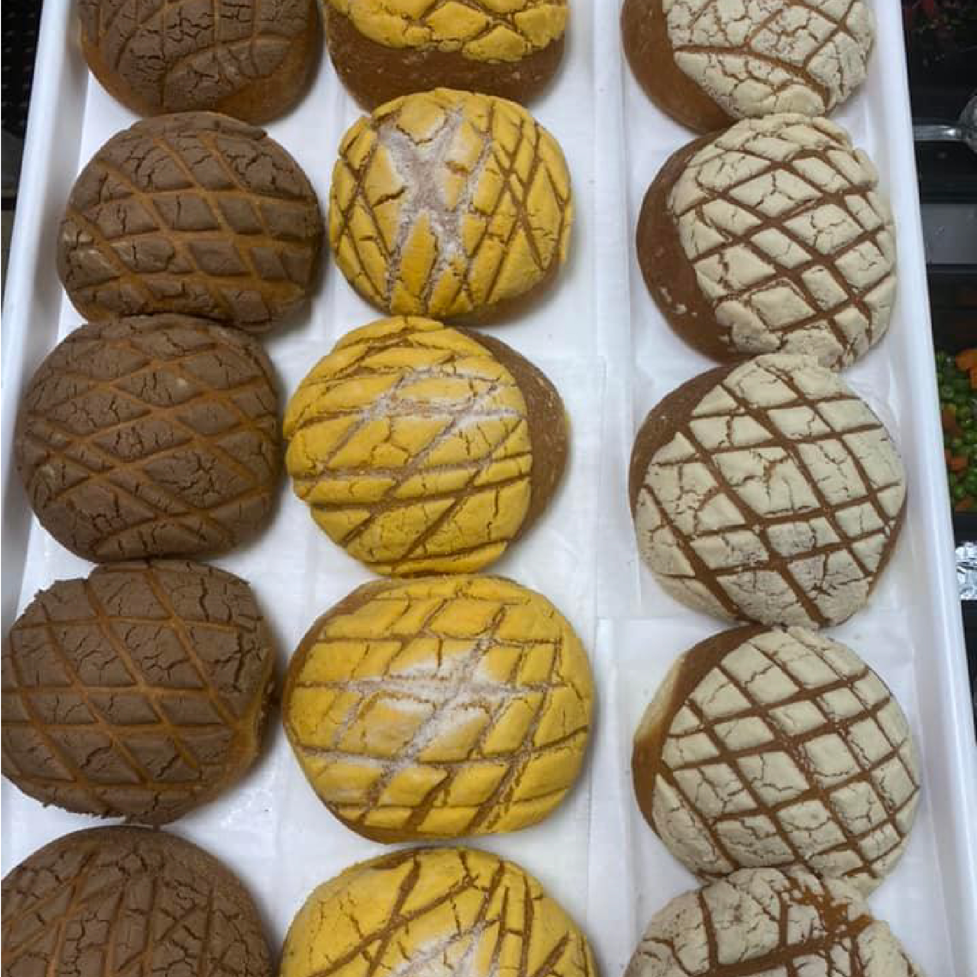 Conchas